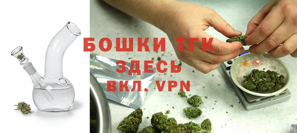 амф Аркадак