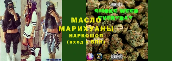 индика Армянск