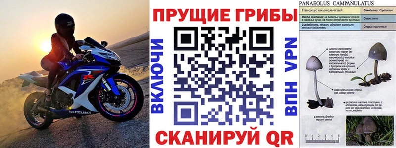 купить наркоту Нягань маркетплейс телеграм Псилоцибиновые грибы мицелий